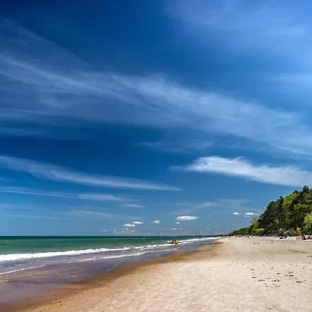 Zygadomki 山林小屋 *